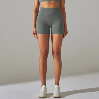 Seamless High Waist Yoga/ Biker/ Gym Shorts