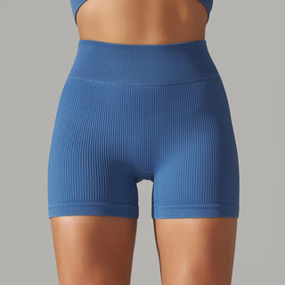 Seamless High Waist Yoga/ Biker/ Gym Shorts