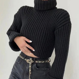 Knit Turtleneck Flare Sleeve Sweater