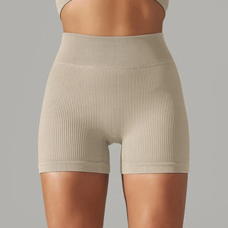 Seamless High Waist Yoga/ Biker/ Gym Shorts