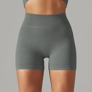 Seamless High Waist Yoga/ Biker/ Gym Shorts