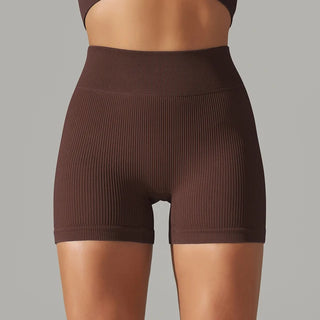 Seamless High Waist Yoga/ Biker/ Gym Shorts